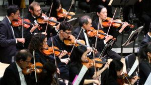 the string section of the symphony orchestra