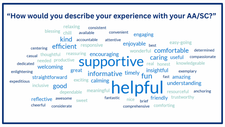 A word cloud showing different words that students have used to describe their SCAA experience.
